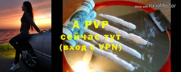 гидра Арсеньев