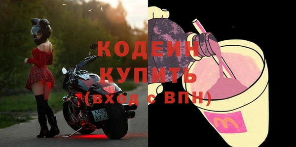 гидра Арсеньев