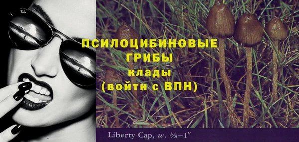 мдпв Армянск