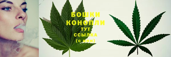 гидра Арсеньев