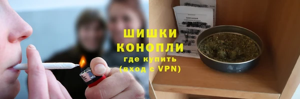 гидра Арсеньев