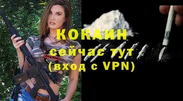 гидра Арсеньев