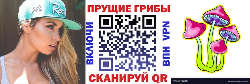Псилоцибиновые грибы ЛСД  купить наркоту  Сосновоборск 